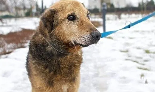 LANER chce żebyś go pokochał!, mazowieckie Warsza