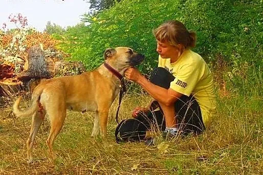 POMÓŻ W ADOPCJI CHELSEA,  łódzkie Łódź