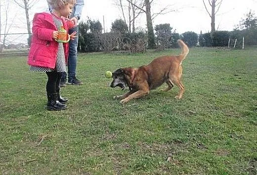Kocha aportować i kocha być kochanym :), śląskie