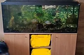 Akwarium 450l z osprzętem + szafka