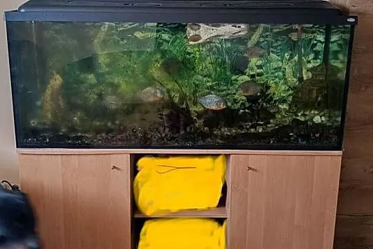 Akwarium 450l z osprzętem + szafka, Małopolskie, Niepołomice