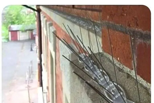 140 metrów kolców na gołębie +klej do montażu +rękawice, Śląskie, Częstochowa