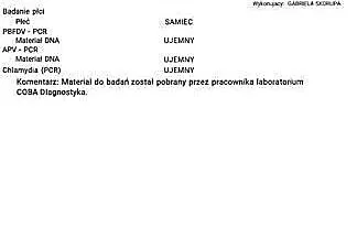Sprzedam Are Araune, Opolskie, Kielcza