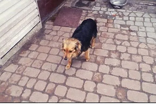 VIKI piękna młoda dama do kochania :),  łódzkie To