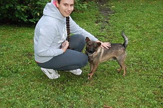 Stuku puku, dzyń, dzyń, dzyń!