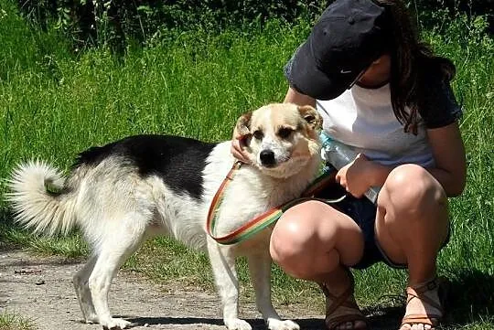 Uroczy PIEGUSEK szuka przyjaciela