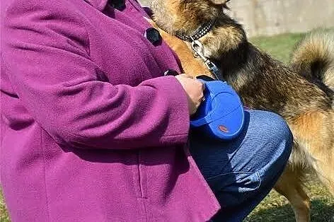 Jestem PIONEK. Podarujesz mi domek?,  mazowieckie 