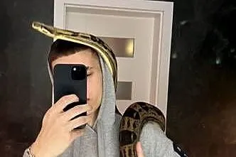 Boa constrictor motley samiec, Warmińsko-mazurskie, Orneta