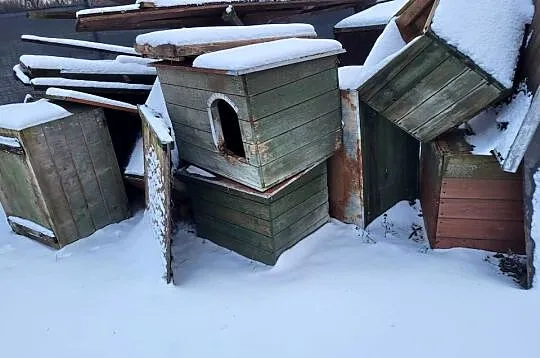 Sprzedam budy dla psów
