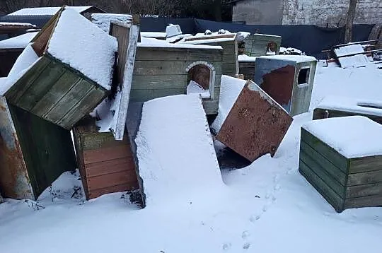 Sprzedam budy dla psów, Łódzkie, Łódź