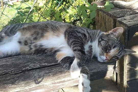 MELA - czysta i schludna, ale na pewno nie nudna! :)