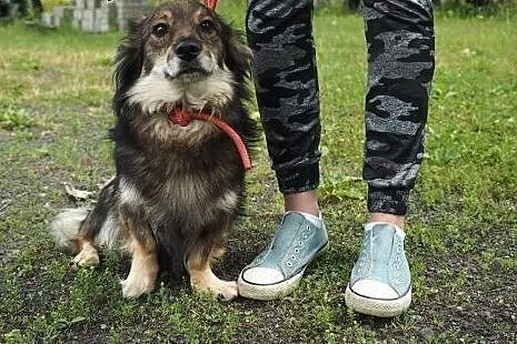 Ocal młodego Adasia przed wywózką do schroniska da
