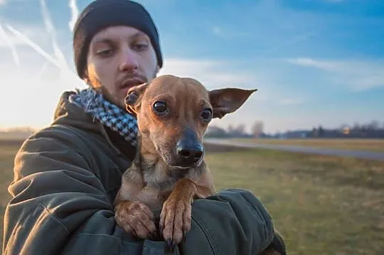 Tuszek, MALEŃSTWO szuka kochającego domu PILNE