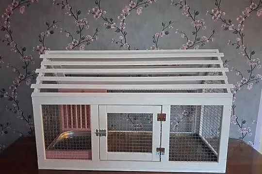 Klatka dla królika