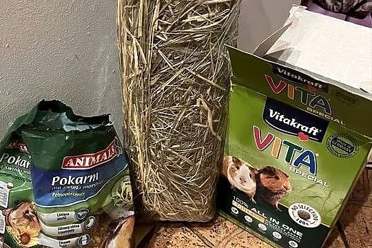 Klatka Ferplast 100 -Premium, Dolnośląskie, Wrocław