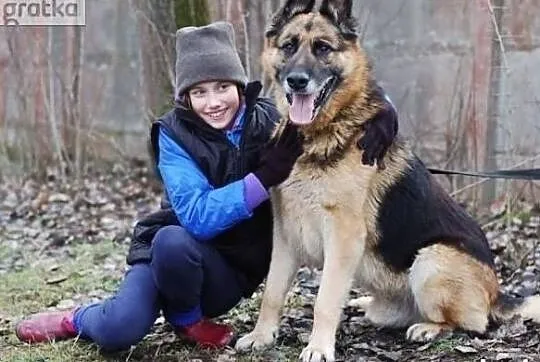Cudowny piesek marzy o wspaniałym domku adoptuj go, Mazowieckie, Warszawa