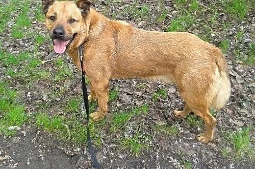 PACO-czeka na Ciebie,  śląskie Sosnowiec