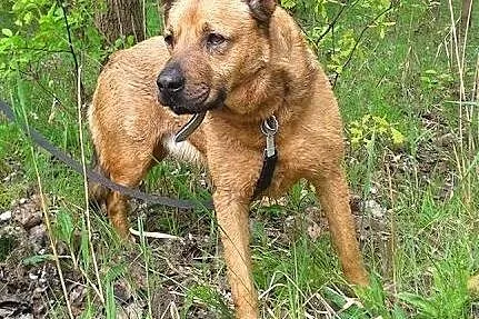 PACO-czeka na Ciebie,  śląskie Sosnowiec