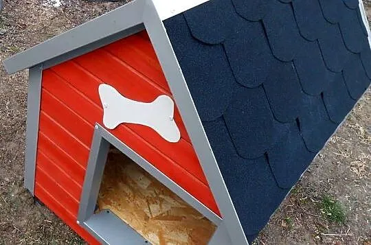 Duża buda dla psa, Wielkopolskie, Grabów nad Prosną