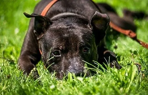 Nemo-facet po przejściach szuka swojego człowieka,