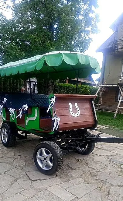 Bryczka konna 9osobowa, Małopolskie, Grybów