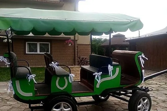 Bryczka konna 9osobowa, Małopolskie, Grybów