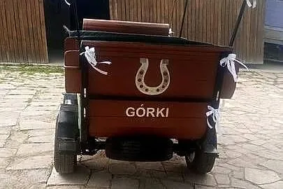 Bryczka konna 9osobowa, Małopolskie, Grybów