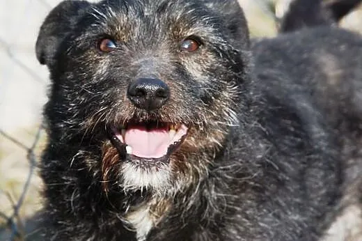 Malutki, słodki, bardzo kochany Eryczek o oczkach 