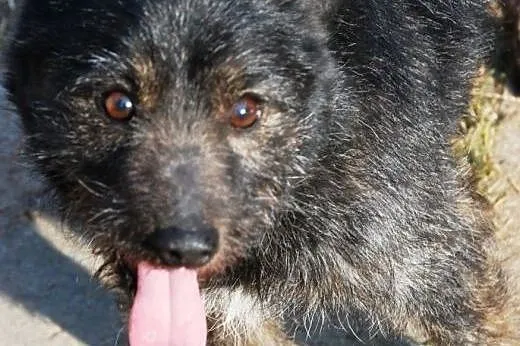 Malutki, słodki, bardzo kochany Eryczek o oczkach 
