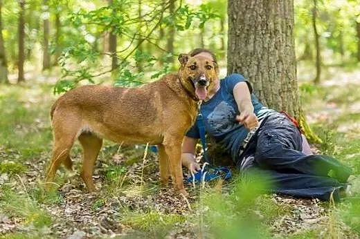 WENA - subtelna i wrażliwa. Czeka na szansę.,  maz