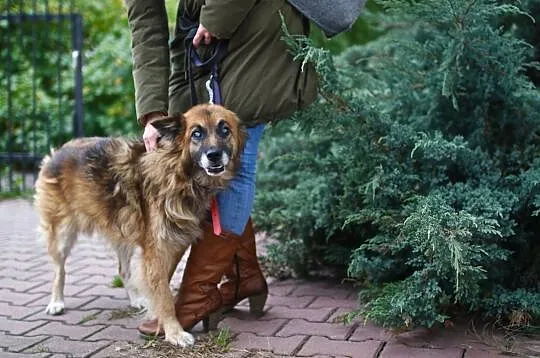 Hugo - na pewno nie będziesz się z nim nudził!