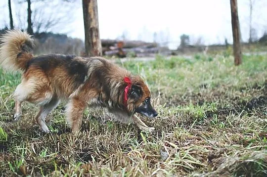 Hugo - na pewno nie będziesz się z nim nudził!, Mazowieckie, Warszawa