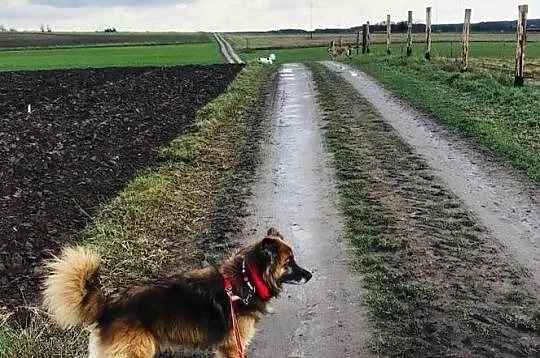 Hugo - na pewno nie będziesz się z nim nudził!, Mazowieckie, Warszawa