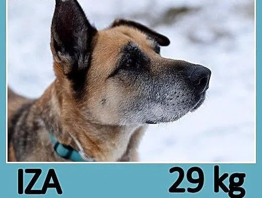 Seniorka,spokojna, łagodna, zrównoważona, przyjazn