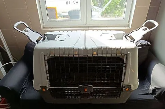 Transporter dla psa SKUDO CAR 100 – duży 99 × 60 × 68 cm, do 40 kg, Śląskie, Tychy
