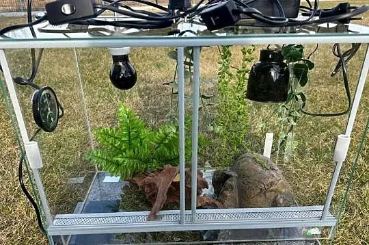 Terarium dla gekona lamparciego. Odbiór osobisty.