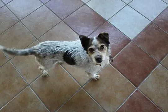 Maleńki Kajtuś, 7kg