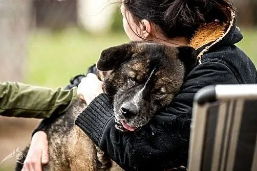 APSIK - podaruj mu odrobinę luksusu w jesieni jego
