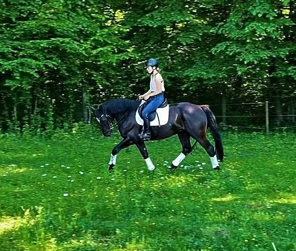Sprzedam 13 letnią klacz (do towarzystwa i spacerów stępem), ,