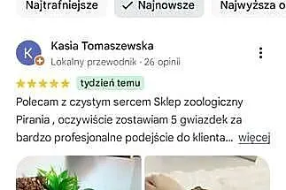 Żółw Grecki Lądowy Olsztyn bezpieczna wysyłka cała Polska, Warmińsko-mazurskie, Olsztyn