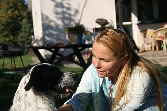 Leoś vel Junior szuka domu