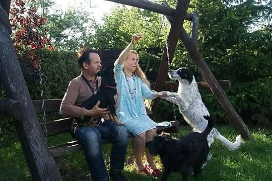 Leoś vel Junior szuka domu