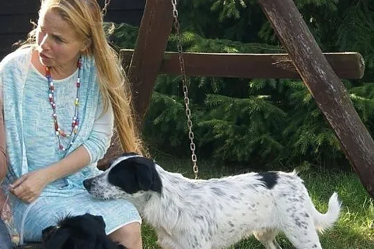 Leoś vel Junior szuka domu
