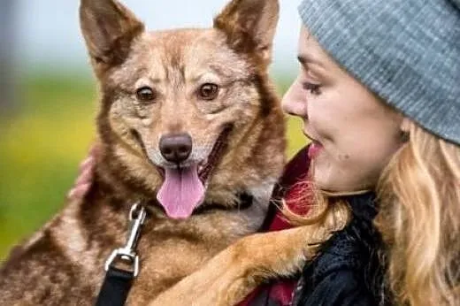 Oto NOVA- niosąca radość nie tylko o poranku,  Kundelki cała Polska