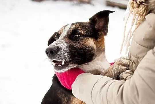 GUFI - cudo, które pokocha Cię najmocniej na świecie :)