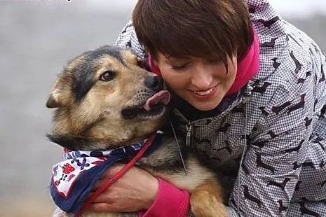 Młody, wesoły Riko, pozytywny pies szuka pozytywne