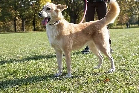 KRESKA &#8211; taka fajna, a taka samotna. Pil