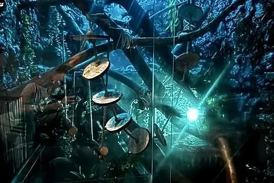 Sprzedam Iguanę (Legwan Zielony) + terrarium, Wielkopolskie, Piła