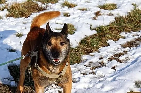 Sum czyli jestem ...