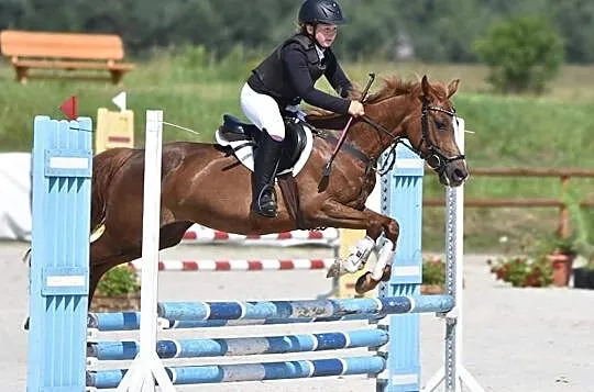 Lady Ewita kuc C grupa do wygrywania, , 